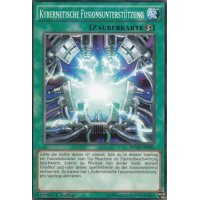 Kybernetische Fusionsunterstützung MP16-DE042