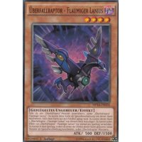 Überfallraptor - Flaumiger Lanius MP16-DE058