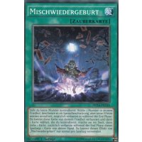 Mischwiedergeburt MP16-DE144