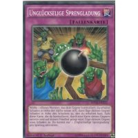 Unglückselige Sprengladung MP16-DE232