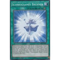Schweigsames Brennen DPRP-DE005