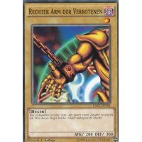 Rechter Arm der Verbotenen LDK2-DEY05