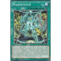Magnetfeld SDMY-DE024