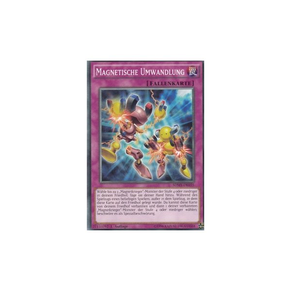 Magnetische Umwandlung SDMY-DE035