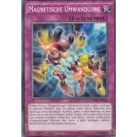Magnetische Umwandlung SDMY-DE035