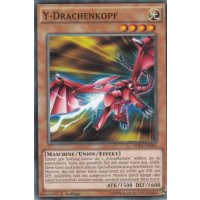 Y-Drachenkopf SDKS-DE006