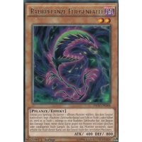 Raubpflanze Fliegenfalle INOV-DE006