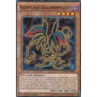 Raubpflanze Aalkannenpflanze INOV-DE007