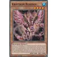 Kristron Rosenix INOV-DE020