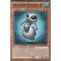 Graulien Schleim Jr. INOV-DE030