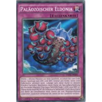 Paläozoischer Eldonia INOV-DE095