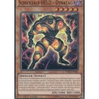 Schicksals-HELD - Dynatag DESO-DE002