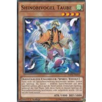 Shinobivogel Taube RATE-DE024