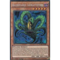 Raubpflanze Taublatthydra FUEN-DE002