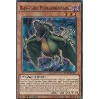 Raubpflanze Pterakannenpflanze FUEN-DE003