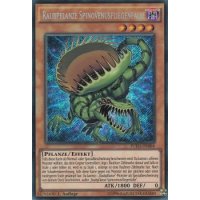 Raubpflanze Spinovenusfliegenfalle FUEN-DE004