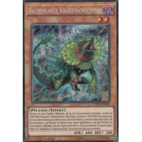 Raubpflanze Kragensonnentau FUEN-DE005