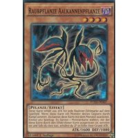 Raubpflanze Aalkannenpflanze FUEN-DE007