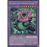 Raubpflanze Chimerafflesia FUEN-DE009