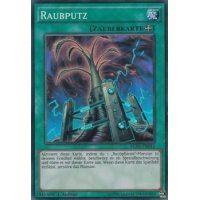 Raupputz FUEN-DE012