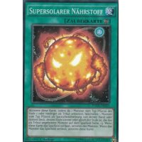 Supersolarer Nährstoff FUEN-DE055