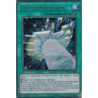 Lichtflügelschild DUSA-DE039