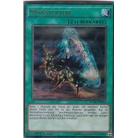 Monstertor DUSA-DE055