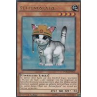 Rettungskatze DUSA-DE072
