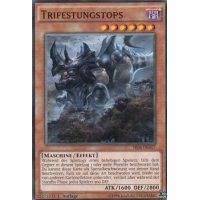 Trifestungstops SR04-DE017