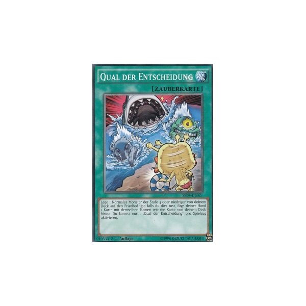 Qual der Entscheidung SR04-DE027