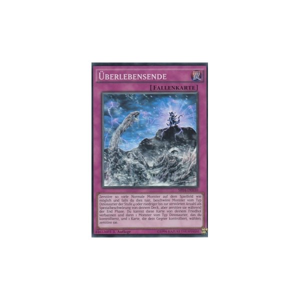 &Uuml;berlebensende SR04-DE030