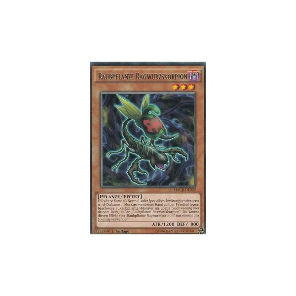 Raubpflanze Ragwurzskorpion MACR-DE009