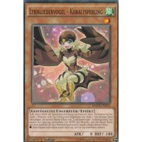 Lyrikliedervogel - Kobaltsperling MACR-DE012