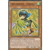 Lyrikliedervogel - Türkisspatz MACR-DE014