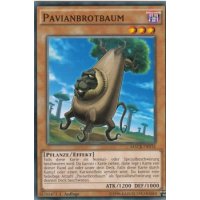 Pavianbrotbaum MACR-DE034