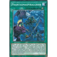 Phantasmaspiralgriff MACR-DE058