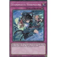 Standhafte Verbindung PEVO-DE043