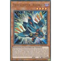 Überfallraptor - Ruderkauz BLLR-DE014