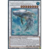 Weißer Aurawal BLLR-DE020