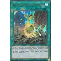 Raum-Zeit-Transzendenz BLLR-DE029