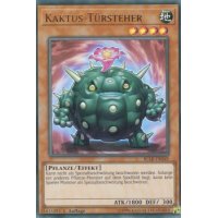 Kaktus-Türsteher BLLR-DE049