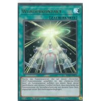 Wunderkontakt BLLR-DE076