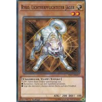 Ryko, Lichtverpflichteter Jäger YS17-DE017