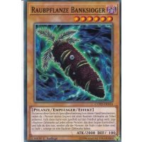 Raubpflanze Banksioger COTD-DE016