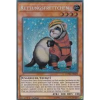 Rettungsfrettchen COTD-DE029