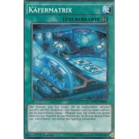Käfermatrix MP17-DE033