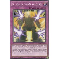 Zu voller Größe wachsen MP17-DE043