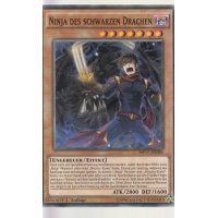 Ninja des schwarzen Drachen MP17-DE086