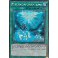 Metamorformation MP17-DE103