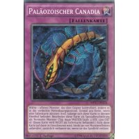 Paläozoischer Canadia MP17-DE124